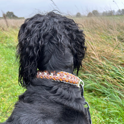 Collier Alyzé 🦋 - Automne 2025 🍁🦊