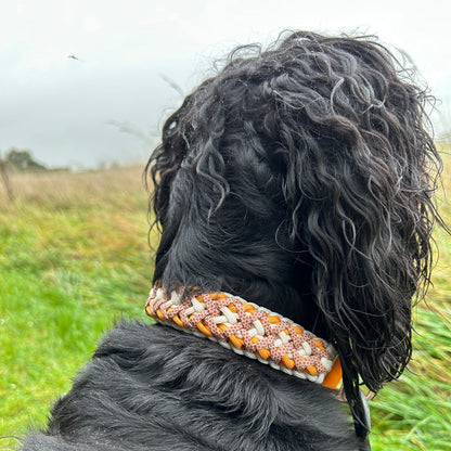 Collier Alyzé 🦋 - Automne 2025 🍁🦊