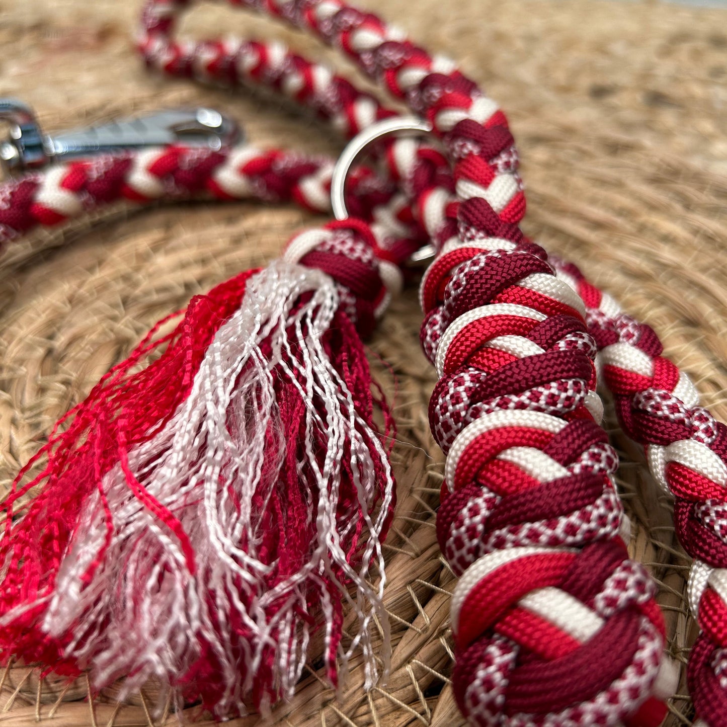 Laisse Tornak 🦮 [Personnalisée]