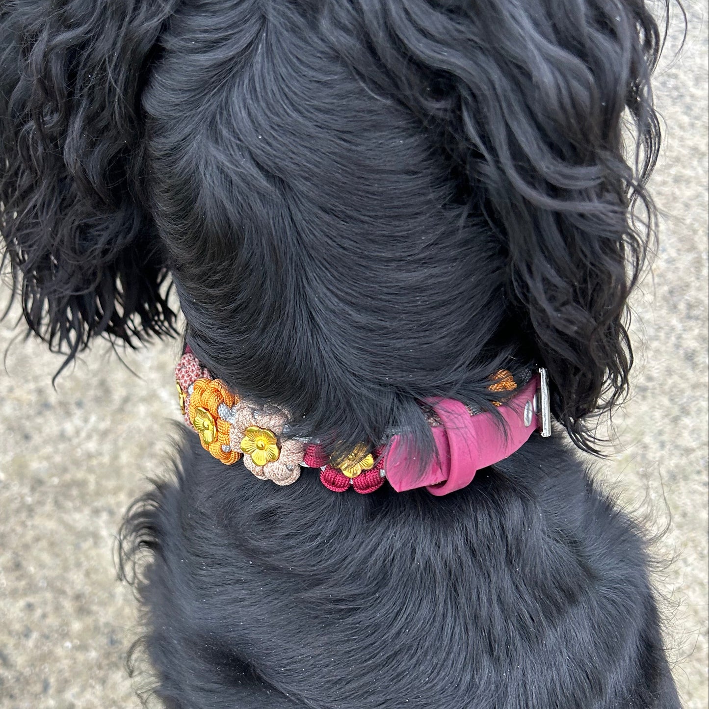 Collier Néolya 🌸 - Automne 2025 🍁🦊