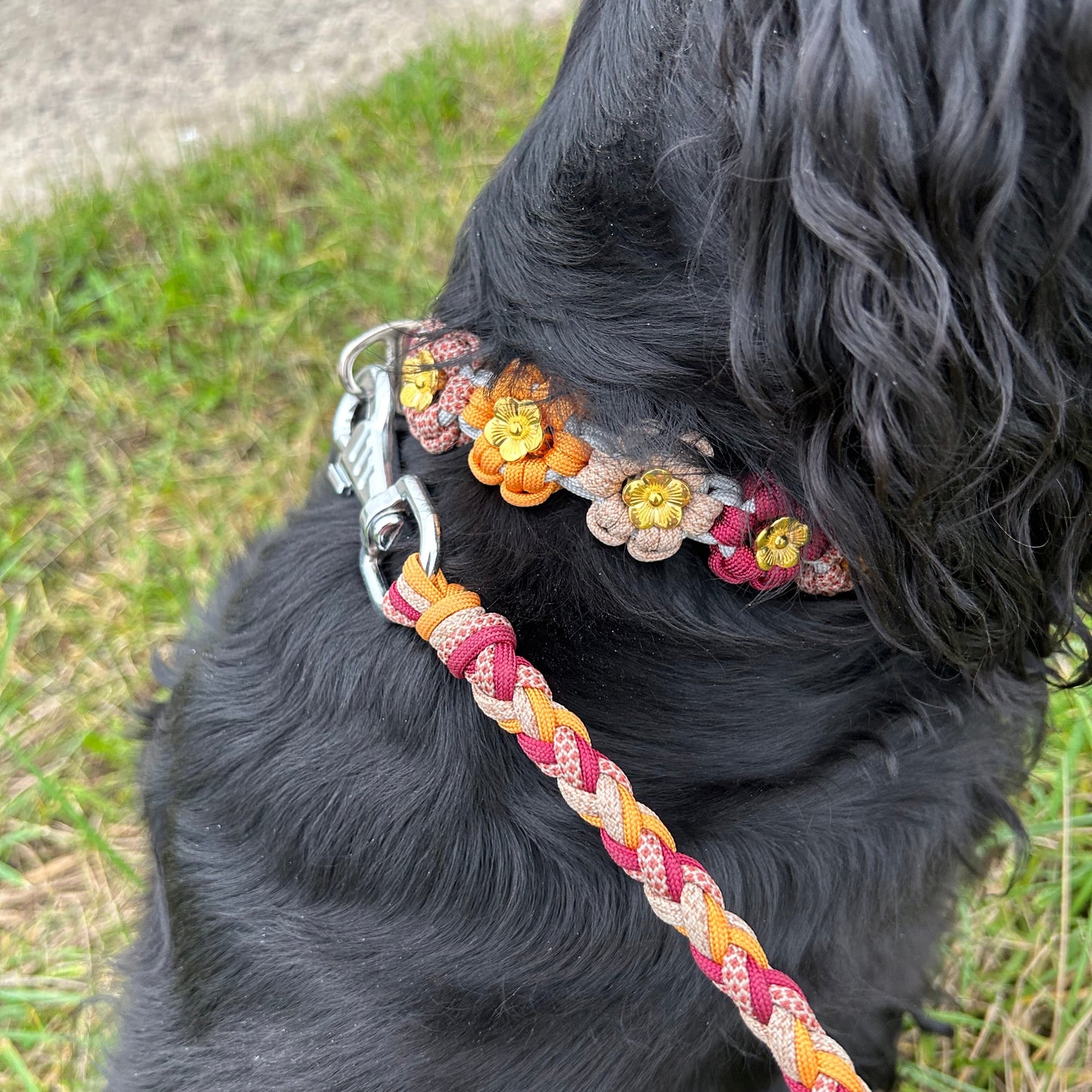 Collier Néolya 🌸 - Automne 2025 🍁🦊