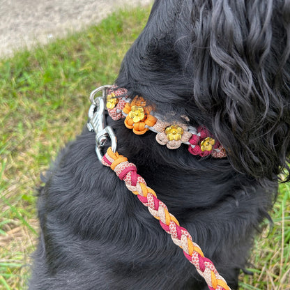 Collier Néolya 🌸 - Automne 2025 🍁🦊