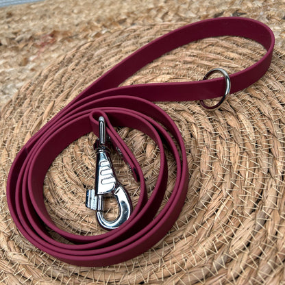 Laisse en biothane 🦮