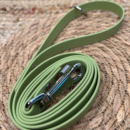 Laisse en biothane 🦮