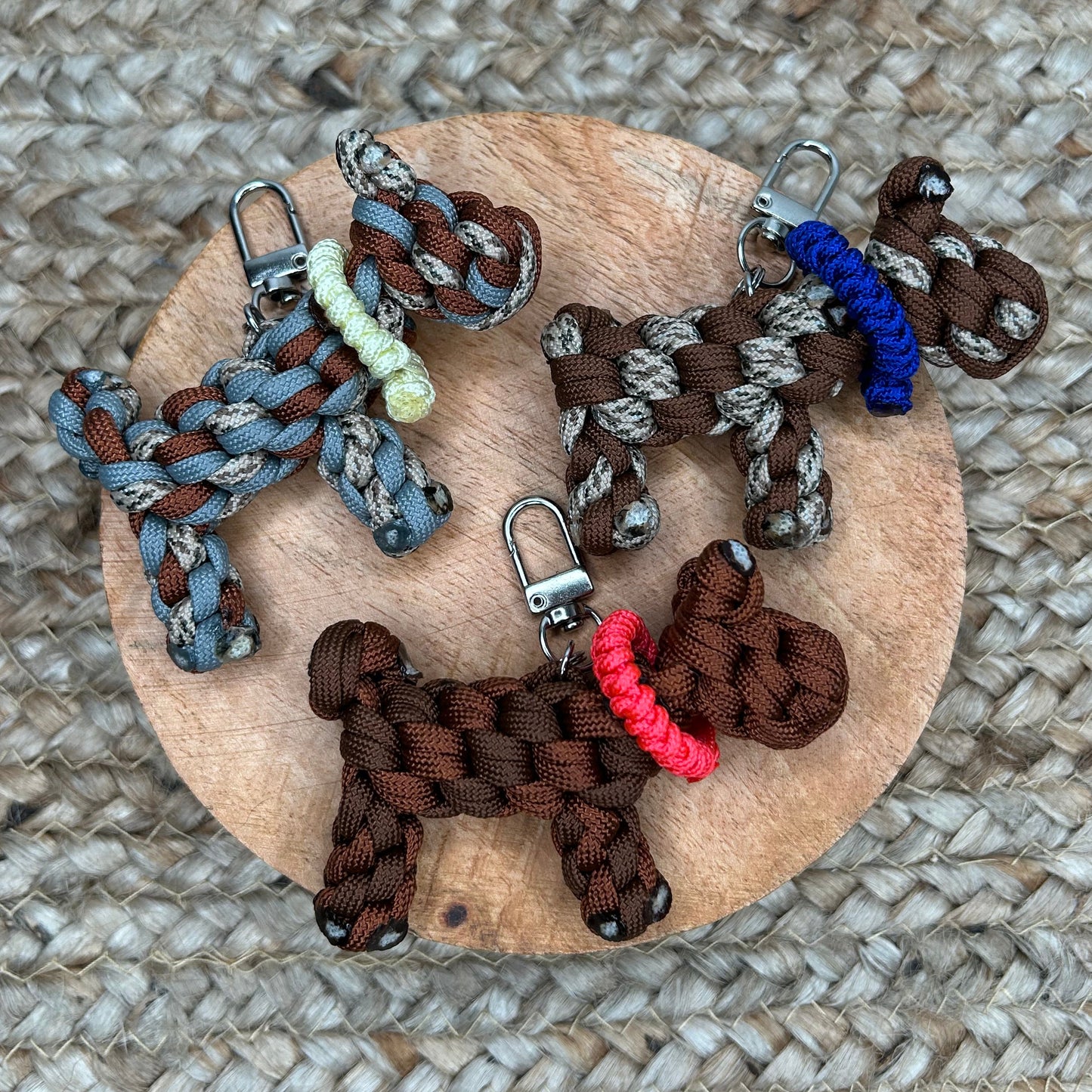 🐶 P'tits chiens [A adopter]