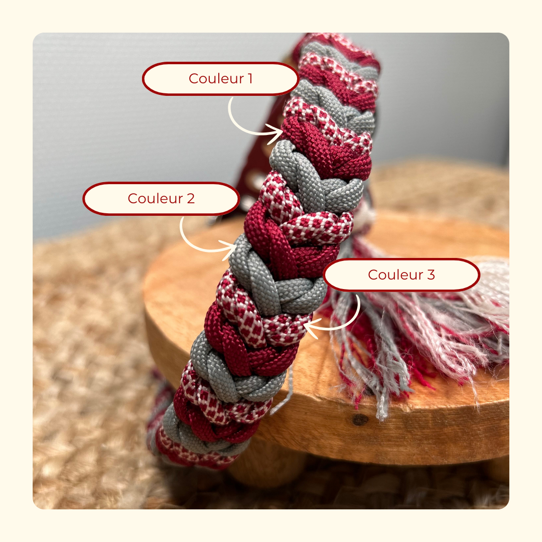 Collier Marea 🐚 [Personnalisé]