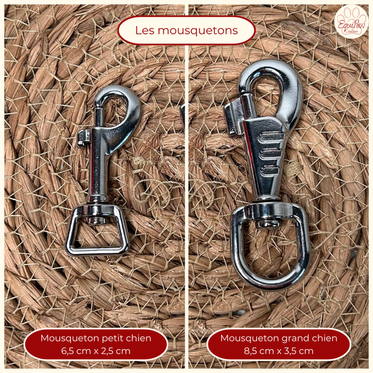 Laisse Tornak 🦮 [Personnalisée]