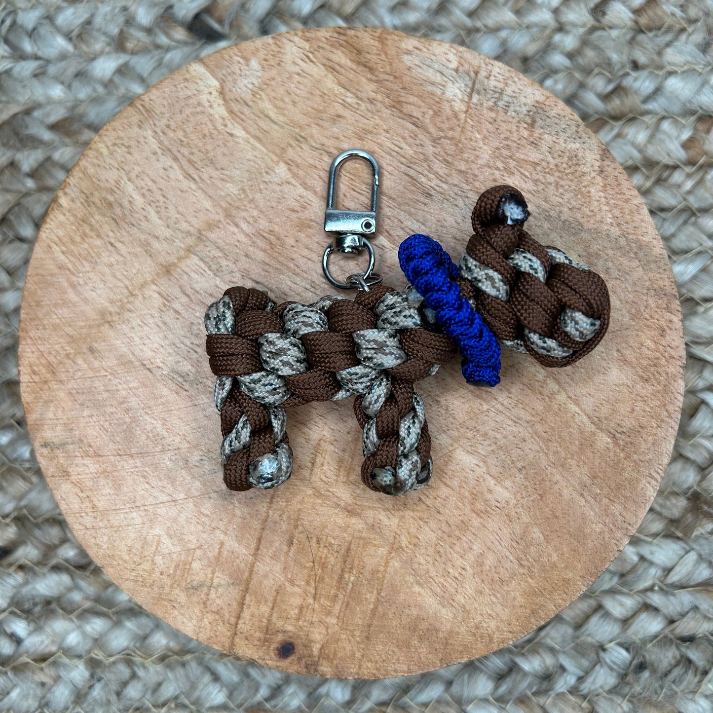 🐶 P'tits chiens [A adopter]