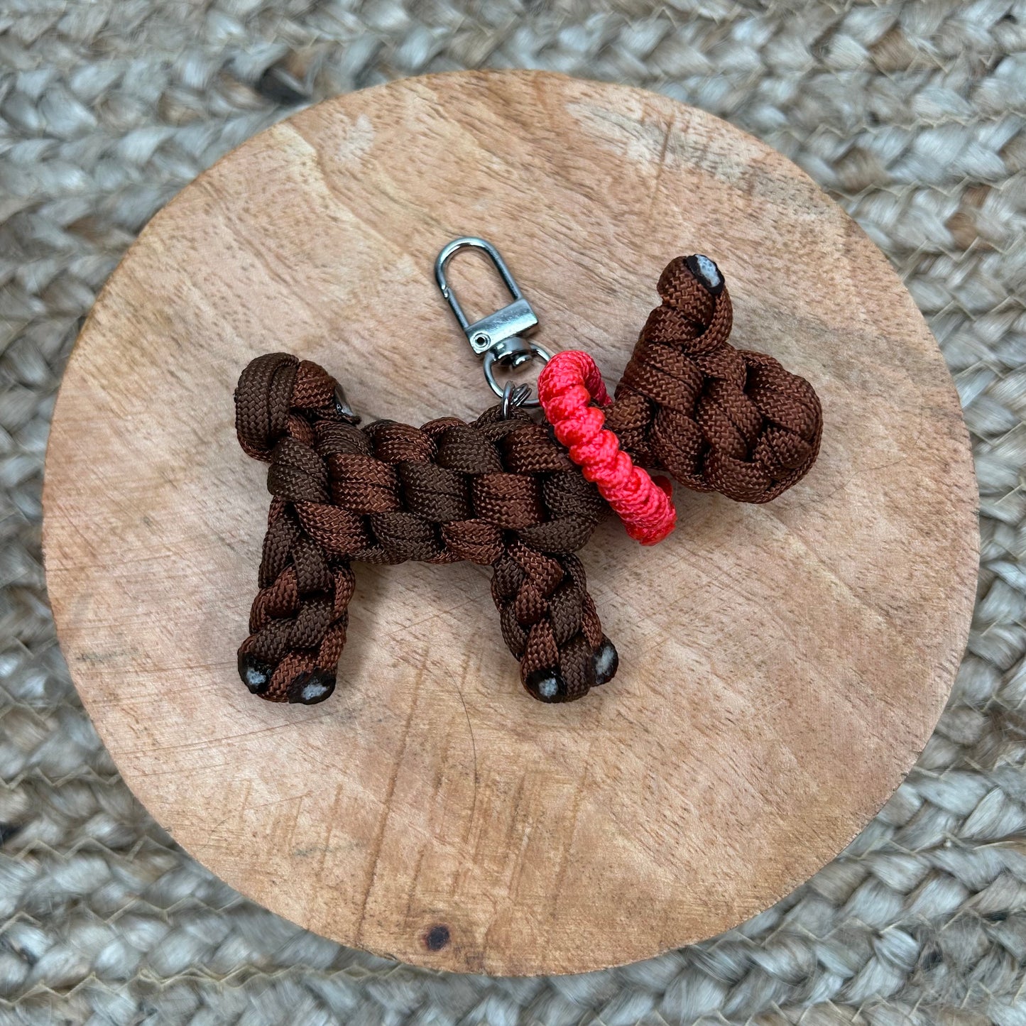 🐶 P'tits chiens [A adopter]