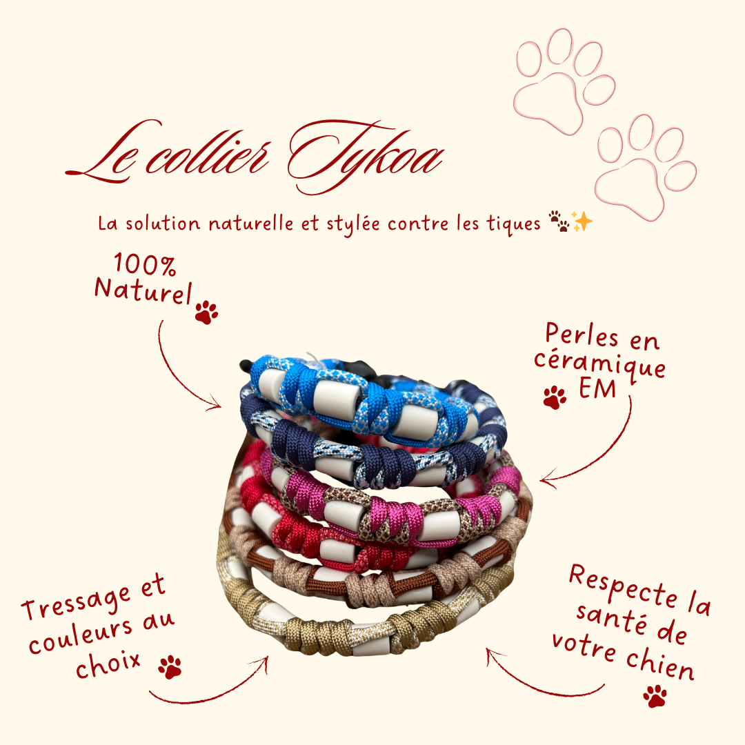 🛡️ Collier Tykoa [Compos uniques]