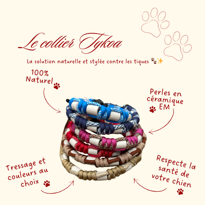🛡️ Collier Tykoa [Compos uniques]